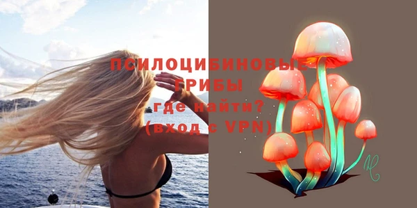 винт Алзамай