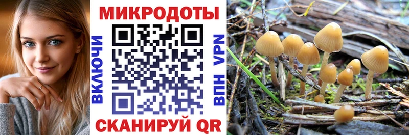 Купить где  Куровское  Галлюциногенные грибы Psilocybine cubensis 
